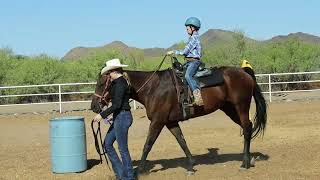 Lead Line Pattern Class  SSC Summer Series  August 2024 Horse Show [upl. by Idnyl]