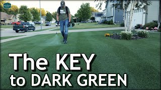 The Key to a DARK GREEN Lawn  Lets Talk Micronutrients [upl. by Linkoski]