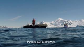 Scientific diving in Antarctica and South Georgia Island [upl. by Leroj291]