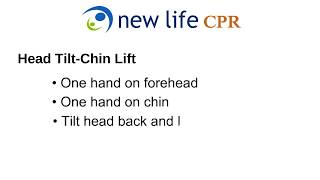 Rapid Renew CPR Basics [upl. by Jaddo239]