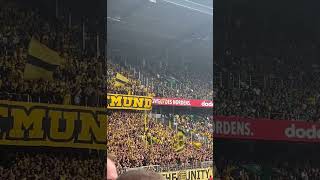 BVB Fans in Bremen 31082024 [upl. by Ahsieyk]