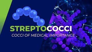 Streptococci of Medical Importance S pyogenes S agalactiae S pneumoniae and others [upl. by Nollaf959]