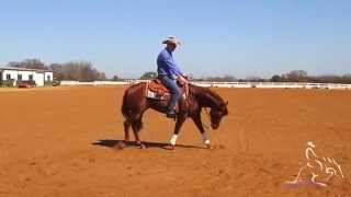 Reining Training  Fundamentals to Reining [upl. by Alano367]