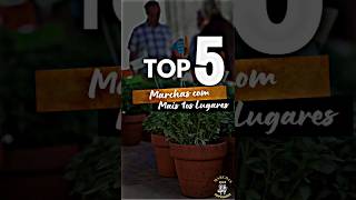 Top 5 das Marchas de Lisboa com mais prémios de primeiros lugares 🥇🥁 marchaspopulares [upl. by Aicila211]