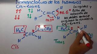 Isomeros Cis  Trans  Química Orgánica [upl. by Enneirda]