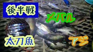 【とっとパーク小島】イブニングはメバルたくさんアジたくさんに渋い太刀魚もなんとか釣れて良かった良かった‼️ [upl. by Anahsak]