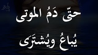 ما لم تقله زرقاء اليمامة  محمد عبد الباري [upl. by Nerty]