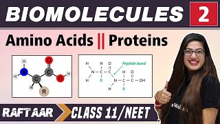 Biomolecules 02  Amino Acids  Proteins  Class 11NEET  RAFTAAR [upl. by Gennifer401]