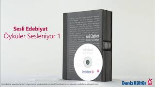 Demiryolu Hikayecileri Bir Rüya  Yazan Oğuz Atay  Seslendiren Mehmet Atay [upl. by Frankel]