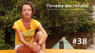 Почему мы голые  Всё как у зверей 38 [upl. by Llerref]