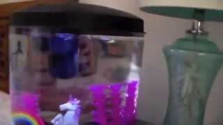 35 gallon glofish tank review [upl. by Anitsihc]