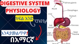 DIGESTIVE SYSTEM PHYSIOLOOGY PART 1 IN AMHARICGI PHYSIOLOGY MADE EASY [upl. by Nalahs]