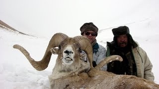 TIAN SHAN MARCOPOLO KIRGHIZSTAN since 1990 Hunting Chasse by Seladang [upl. by Deming]