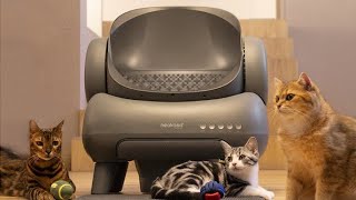 Neabot M1 Neakasa SelfCleaning Automatic Cat Litter Box Smart Cat Toilet OdorFree SelfDefendable [upl. by Moreno]