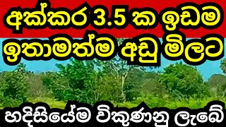 අක්කර 3 12 ක ඉඩම අඩුම අඩු මුදලකට  Land for sale in sri lanka  Aduwata idam  Idam sale  Lands [upl. by Elman]