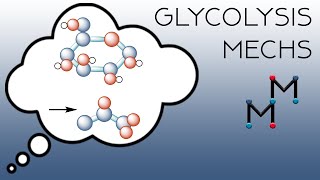 The Mechanisms of Glycolysis Part 1 [upl. by Gapin]