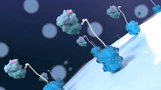 Identify amp Characterize New Potent amp Selective Ligands with E3scan LigandBinding Assay Technology [upl. by Ecaidnac]