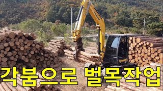 얀마 10톤 벌목홍과장Yanmar SV100 logging [upl. by Lohrman]