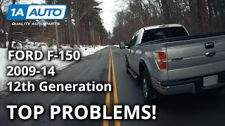 Top 5 Problems Ford F150 Truck 12th Generation 200914 [upl. by Kinsley375]