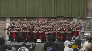 Beta Alpha Chapter of Delta Sigma Theta Spring 2024 Probate FAMU [upl. by Yelich]