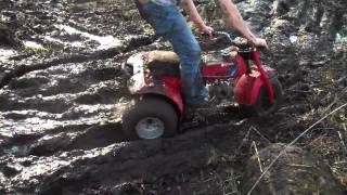 3wheeler Dirt Bike and 4wheeler mudding [upl. by Stelu691]