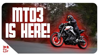 The MT03 is HERE 2020 Yamaha MT03 Launch [upl. by Corinne]