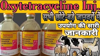 Oxytetracycline Injection uses in Hindi veterinarymedicinereviewhindi Dosage side effect price [upl. by Etyak]