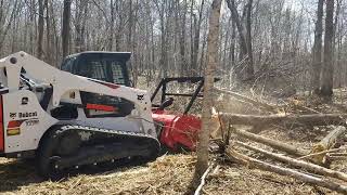 Bobcat T770 with Fecon Forestry Mulcher Part15 [upl. by Quentin]