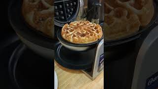 Sourdough Belgian Waffles waffles waffle sourdoughsponge sourdoughwaffles [upl. by Canter]