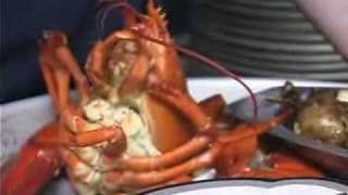 Lobster Pot commercial [upl. by Atiluj]