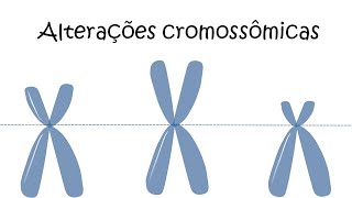 Alterações cromossômicas [upl. by Ical]