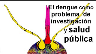 El dengue como problema de investigación y salud pública [upl. by Waynant]