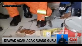 Biawak AcakAcak Ruang Guru [upl. by Coffey]