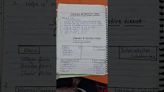 Function and component of connective tissue [upl. by Trout]