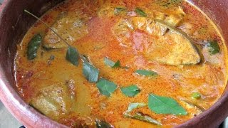 Kerala fish Curry With Coconut Milk  Kerala Recipes  Nisa Homey [upl. by Adialeda]