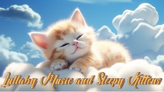 Lullaby Music and Sleepy Kitten [upl. by Thorncombe]