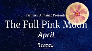 Aprils Full Pink Moon [upl. by Pauwles456]