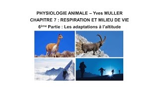 Chapitre 76 Les adaptations de lâ€™homme et des animaux Ã lâ€™altitude [upl. by Welbie]