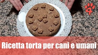 Ricetta torta per cani e umani facile e veloce [upl. by Lepper895]