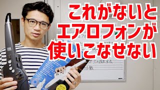 初心者向けエアロフォン10やGOAerophone AE10AE05を実際使うときに必ず必要なモノamp音色やトランスポーズ設定。これを知らない損するよ！【エアロフォンレッスン】 [upl. by Allwein]