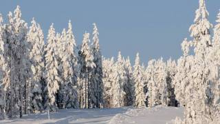 Ljungåsen Grängesberg [upl. by Glynda529]