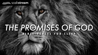 The Promises of God  Bible Verses For Sleep [upl. by Oballa]