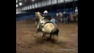 Buffy Calf Roping amp Team roping 2000 142H AQHA mare [upl. by Lamoree]