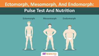 Ectomorph Mesomorph And Endomorph Pulse Test And Nutrition [upl. by Aciruam]