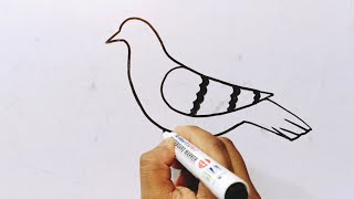 How To Draw A Beautiful Pigeon In New Ways  Pigeon Drawing Easy Step By Step  Bird Drawing [upl. by Aikan27]