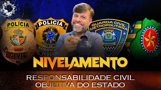 Direito Administrativo Responsabilidade Civil Objetiva do Estado [upl. by Kiker917]