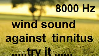 10 minutes wind at 8000 Hz as sound therapy for tinnitus [upl. by Asilim]