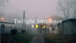 Cozy Twilight Inspired Ambient Instrumental Playlist 🕯️🌔 🥀🌙 [upl. by Tem]