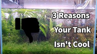 3 Reasons Your Tank Isnt Cool Its Not Because of CO2 Fertilizer or Lighting Green Day 1 [upl. by Fawnia]