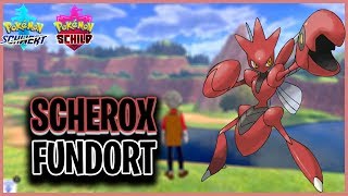 SCHEROX Fundort in Pokemon Schwert amp Schild [upl. by Hterag]